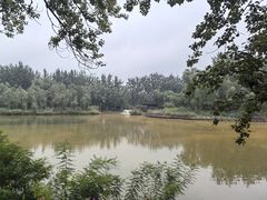 -翠湖国家城市湿地公园