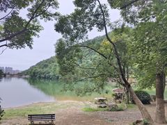 -桃花岭景区