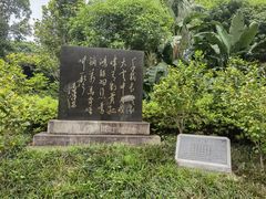 -柳侯公园