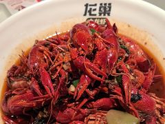 -龙巢盱眙龙虾·牛蛙·烧烤宵夜(八卦岭店)