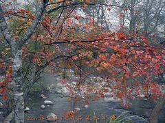 -祁门牯牛降观音堂风景区