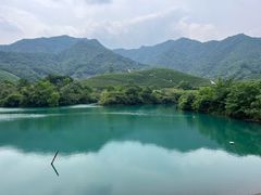 -龙坞茶村