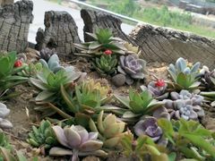 -瓦库茶馆17号(海汇港店)