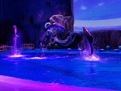 -华夏文旅海洋公园