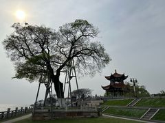 -观潮胜地公园