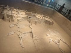 -洛阳周王城天子驾六博物馆