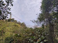 -南丹山森林王国