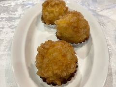 -丁老爷子苏香圆