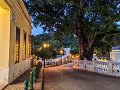 -龙环葡韵住宅式博物馆