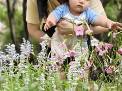 -人民公园(罗湖区)