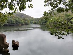 -白马涧龙池景区