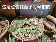 -滇铺子·云南特色菜·第九届野生菌美食节(东风东路c86店)