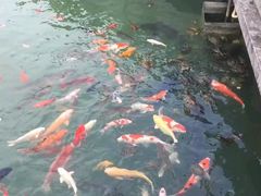 -安溪清水岩