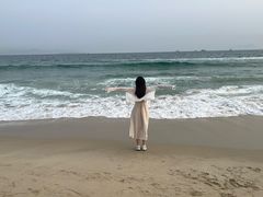 -玫瑰海岸文化旅游度假区