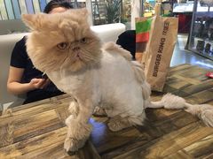 -小时光咖啡馆(开森度假森林店)