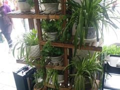 -丝丝香王凉粉(汇宇店)