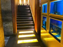 -食神鱼头佛跳墙(百子湾旗舰店)