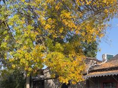 -古耳咖啡(北锣店)