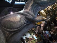 -湖南省地质博物馆