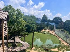 -西霞口神雕山野生动物世界