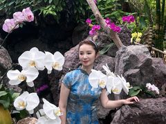 -南通洲际绿博园