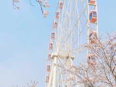 -顾村公园
