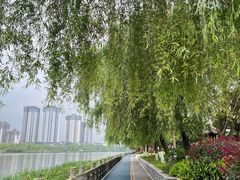 -眉山湿地公园(东坡区)