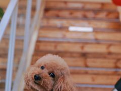 -小意思咖啡店(草桥店)