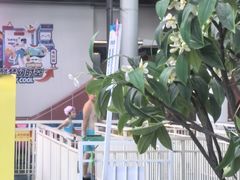 -温都水城·水梦奇缘