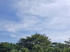 -东风公园