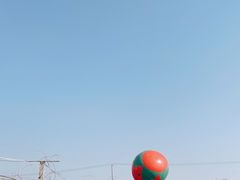 -小鱼草莓采摘园农家乐·小鱼餐厅