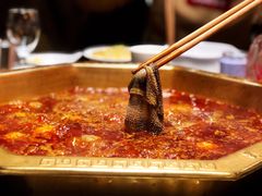 -蜀九香火锅(彩虹店)