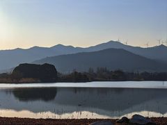 -长田漾湿地公园