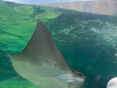 -新加坡水上探险乐园