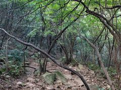 -灵岩山风景区