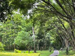 -福田红树林生态公园