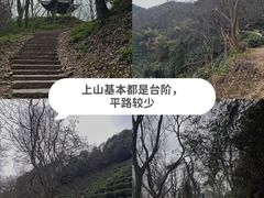 -杭州植物园
