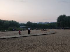 -大兴滨河森林公园