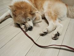 -YCHL Studios健身工作室(市二宫店)