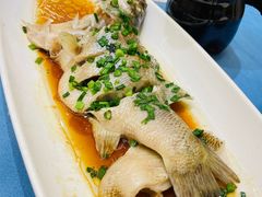 葱油海鲈鱼-阿毛饭店(和义路店)