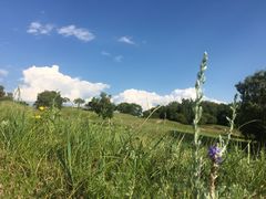 -塞罕坝国家级自然保护区