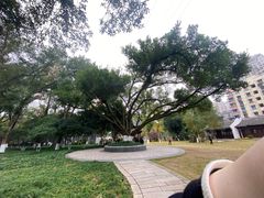 -墨池公园