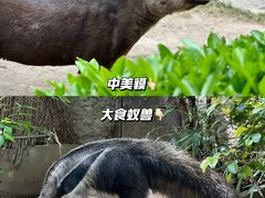 -上海野生动物园
