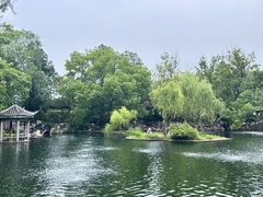 -无锡蠡湖国家湿地公园-蠡园