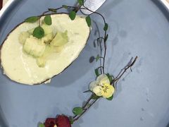 牛油果奶冻-点都德(大茶楼店)