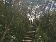 -白草畔自然风景区