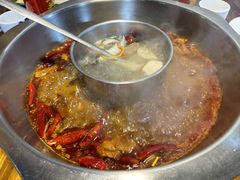 -金鼎雪山牦牛杂火锅(理县总店)