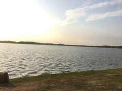 -丁香湖公园