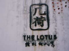 -几荷·恰似故人来(秀水广场店)