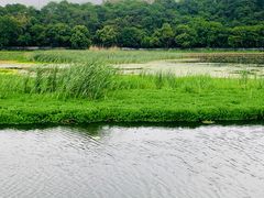-月湖风景区